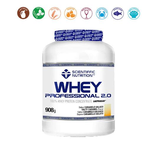 Whey Professional 2.0  vainilla