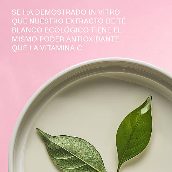 Weleda Crema De Noche Alisante Rosa Mosqueta Y Té Blanco